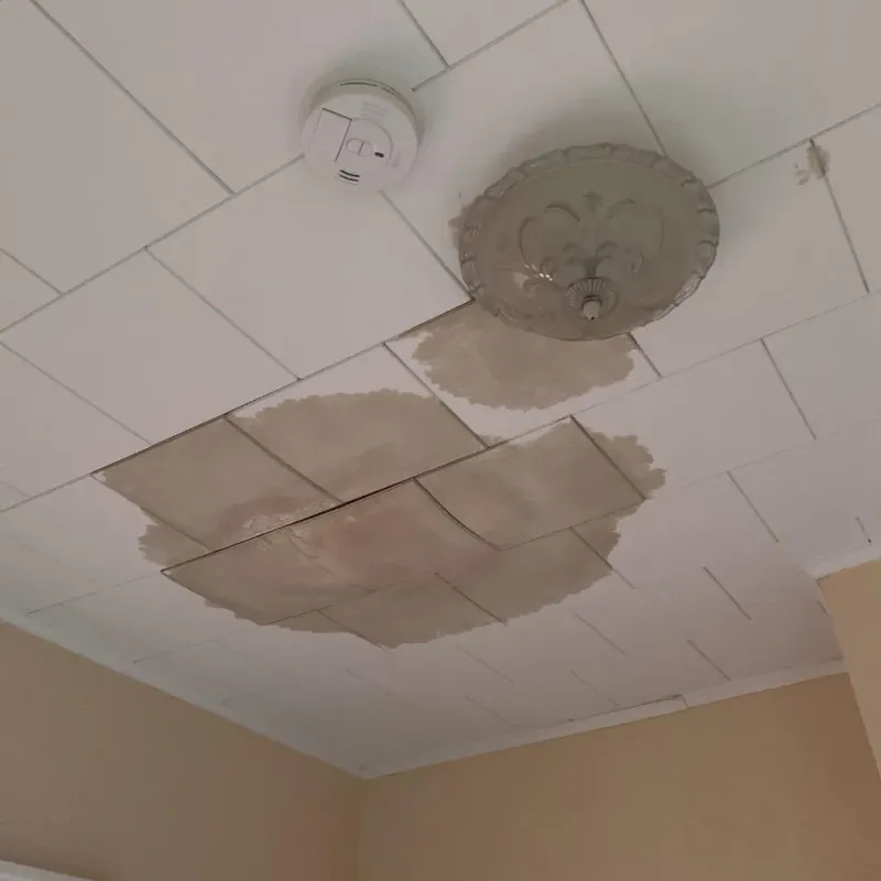 Ceiling Water Damage Repair in Dover, TN