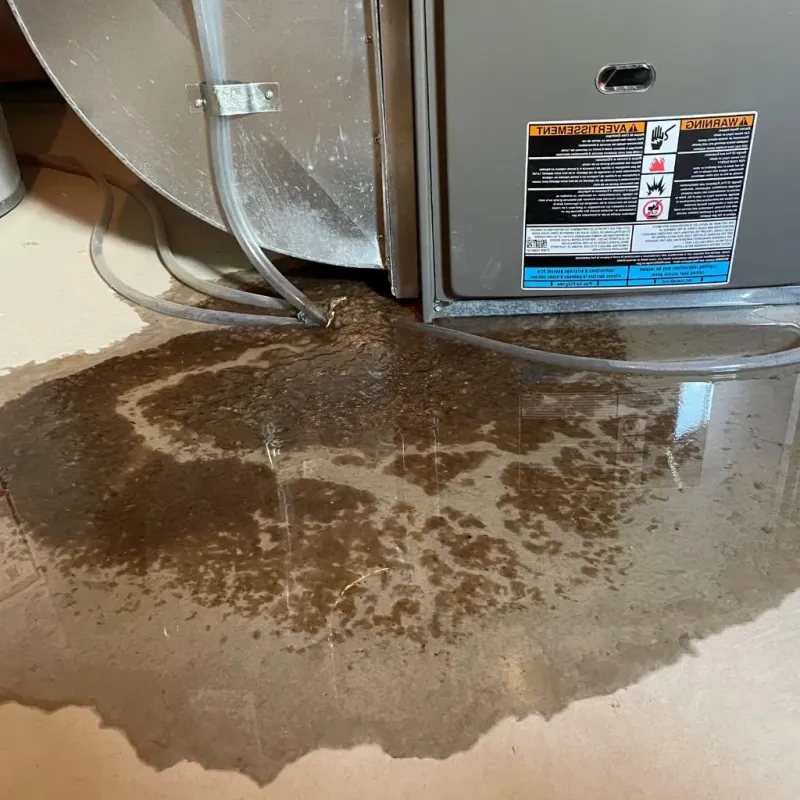 Pipe Burst and Leak Restoration in Dover, TN